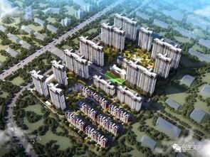 美庐天下城爆料视频最新,全新城市生活画卷即将展开